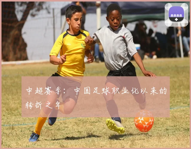 中超赛季:中国足球职业化以来的转折之年